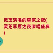灵芝演唱的草原之夜(灵芝草原之夜演唱盛典)
