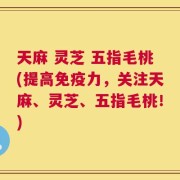 天麻 灵芝 五指毛桃(提高免疫力，关注天麻、灵芝、五指毛桃！)
