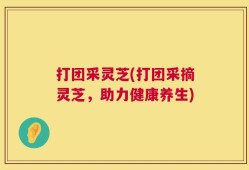 打团采灵芝(打团采摘灵芝，助力健康养生)