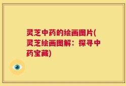 灵芝中药的绘画图片(灵芝绘画图解：探寻中药宝藏)