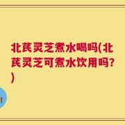 北芪灵芝煮水喝吗(北芪灵芝可煮水饮用吗？)