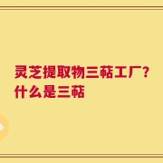 灵芝提取物三萜工厂？什么是三萜
