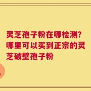 灵芝孢子粉在哪检测？哪里可以买到正宗的灵芝破壁孢子粉