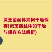 灵芝菌丝体如何干燥保存(灵芝菌丝体的干燥与保存方法解析)