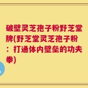 破壁灵芝孢子粉野芝堂牌(野芝堂灵芝孢子粉：打通体内壁垒的功夫拳)