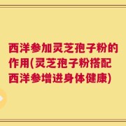 西洋参加灵芝孢子粉的作用(灵芝孢子粉搭配西洋参增进身体健康)