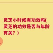 灵芝小时候有功效吗(灵芝的功效是否与年龄有关？)