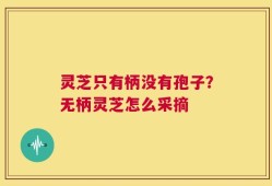 灵芝只有柄没有孢子？无柄灵芝怎么采摘