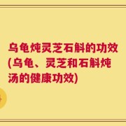 乌龟炖灵芝石斛的功效(乌龟、灵芝和石斛炖汤的健康功效)