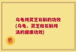 乌龟炖灵芝石斛的功效(乌龟、灵芝和石斛炖汤的健康功效)