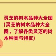 灵芝的树木品种大全图(灵芝的树木品种大全图，了解各类灵芝的树木种类与特征)