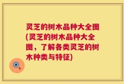 灵芝的树木品种大全图(灵芝的树木品种大全图，了解各类灵芝的树木种类与特征)
