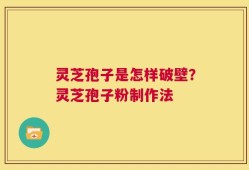 灵芝孢子是怎样破壁？灵芝孢子粉制作法