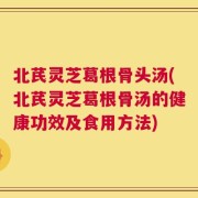 北芪灵芝葛根骨头汤(北芪灵芝葛根骨汤的健康功效及食用方法)