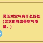 灵芝对空气有什么好处(灵芝能够改善空气质量。)