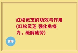 红松灵芝的功效与作用(红松灵芝 强化免疫力，缓解疲劳)