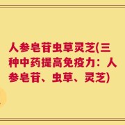 人参皂苷虫草灵芝(三种中药提高免疫力：人参皂苷、虫草、灵芝)