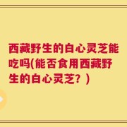 西藏野生的白心灵芝能吃吗(能否食用西藏野生的白心灵芝？)