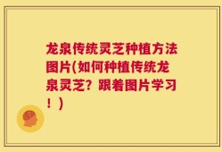 龙泉传统灵芝种植方法图片(如何种植传统龙泉灵芝？跟着图片学习！)