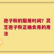 孢子粉的服用时间？灵芝孢子粉正确食用的用法