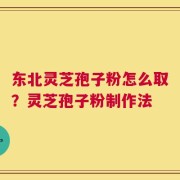 东北灵芝孢子粉怎么取？灵芝孢子粉制作法