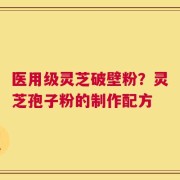 医用级灵芝破壁粉？灵芝孢子粉的制作配方
