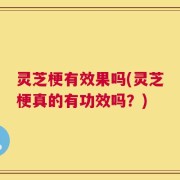 灵芝梗有效果吗(灵芝梗真的有功效吗？)