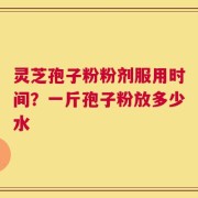 灵芝孢子粉粉剂服用时间？一斤孢子粉放多少水