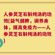 人参灵芝石斛炖汤的功效(益气健脾，调养身体，提高免疫力——人参灵芝石斛炖汤的功效)
