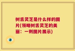 树舌灵芝是什么样的图片(领略树舌灵芝的美丽：一则图片展示)