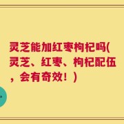 灵芝能加红枣枸杞吗(灵芝、红枣、枸杞配伍，会有奇效！)