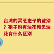 台湾的灵芝孢子的鉴别？孢子粉有油花和无油花有什么区别