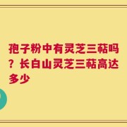 孢子粉中有灵芝三萜吗？长白山灵芝三萜高达多少