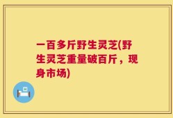 一百多斤野生灵芝(野生灵芝重量破百斤，现身市场)