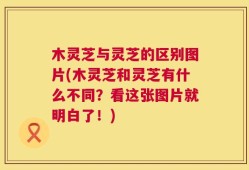 木灵芝与灵芝的区别图片(木灵芝和灵芝有什么不同？看这张图片就明白了！)