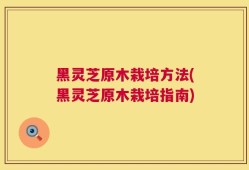 黑灵芝原木栽培方法(黑灵芝原木栽培指南)