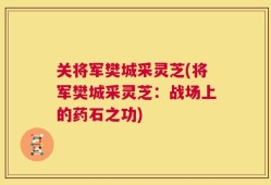 关将军樊城采灵芝(将军樊城采灵芝：战场上的药石之功)
