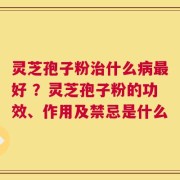 灵芝孢子粉治什么病最好 ？灵芝孢子粉的功效、作用及禁忌是什么