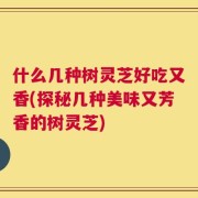 什么几种树灵芝好吃又香(探秘几种美味又芳香的树灵芝)