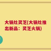 大锅灶灵芝(大锅灶推出新品：灵芝火锅)