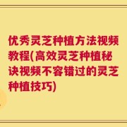 优秀灵芝种植方法视频教程(高效灵芝种植秘诀视频不容错过的灵芝种植技巧)