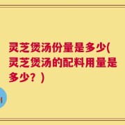 灵芝煲汤份量是多少(灵芝煲汤的配料用量是多少？)