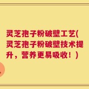 灵芝孢子粉破壁工艺(灵芝孢子粉破壁技术提升，营养更易吸收！)