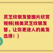灵芝纹银发簪图片欣赏视频(精美灵芝纹银发簪，让你更迷人的美发选择！)