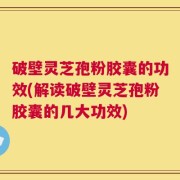破壁灵芝孢粉胶囊的功效(解读破壁灵芝孢粉胶囊的几大功效)