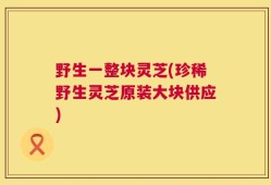 野生一整块灵芝(珍稀野生灵芝原装大块供应)