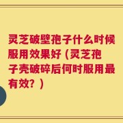 灵芝破壁孢子什么时候服用效果好 (灵芝孢子壳破碎后何时服用最有效？)