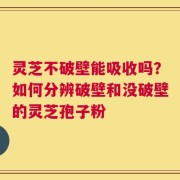 灵芝不破壁能吸收吗？如何分辨破壁和没破壁的灵芝孢子粉