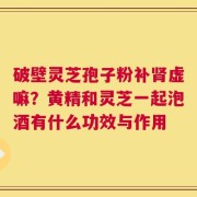 破壁灵芝孢子粉补肾虚嘛？黄精和灵芝一起泡酒有什么功效与作用