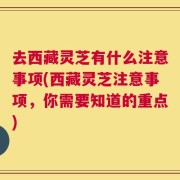 去西藏灵芝有什么注意事项(西藏灵芝注意事项，你需要知道的重点)